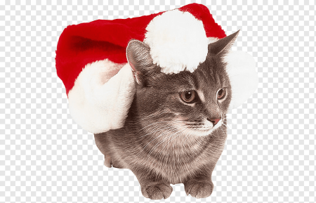 Новогодние коты мультяшные