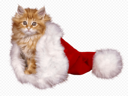 Новогодние мультяшные котята
