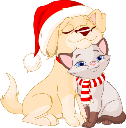 Новогодний котенок на прозрачном фоне