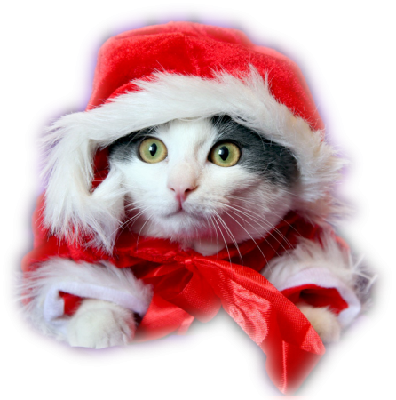 Новогодние мультяшные котики