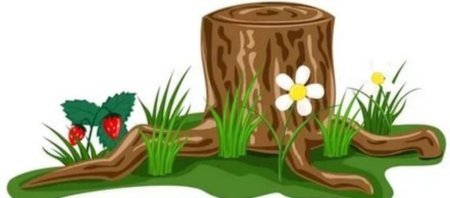 Пенек для детей на прозрачном фоне