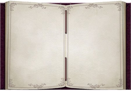Книга с пустыми страницами