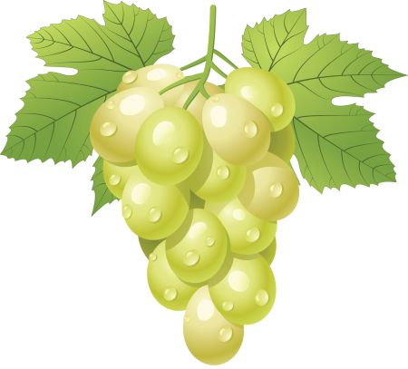 Гроздь винограда на белом фоне