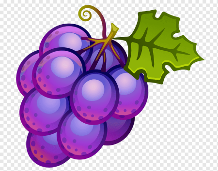 Фиолетовый виноград