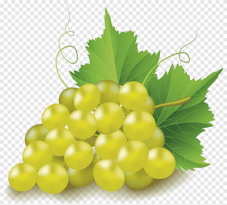 Гроздь винограда на белом фоне