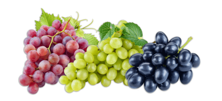 Виноград на белом фоне
