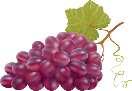 Виноград Ризамат