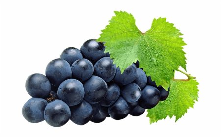 Гроздь винограда на белом фоне