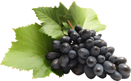 Виноград на белом фоне