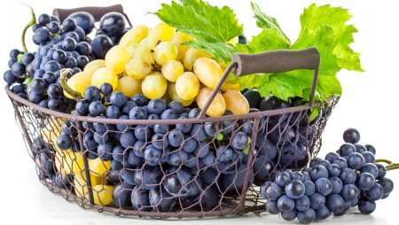 Виноградная лоза хромакей