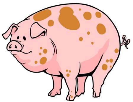 Нарисовать свинью
