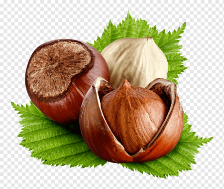 Лесной орех (Hazelnut)