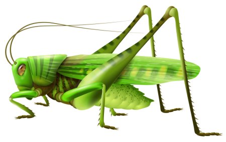 Grasshopper («кузнечик», 1946).