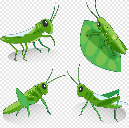 Grasshopper («кузнечик», 1946).