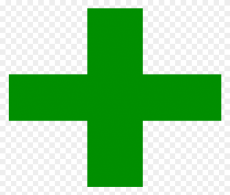 «Зеленый крест» (Green Cross International)