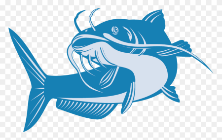 Catfish вектор