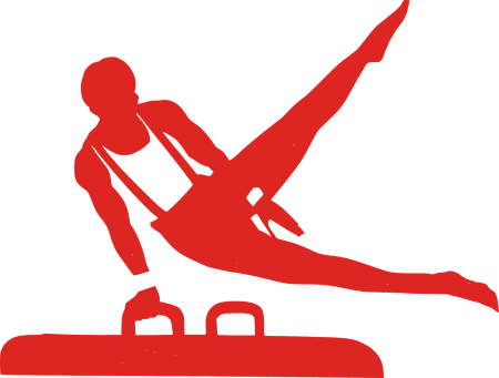 Спортивная гимнастика логотип
