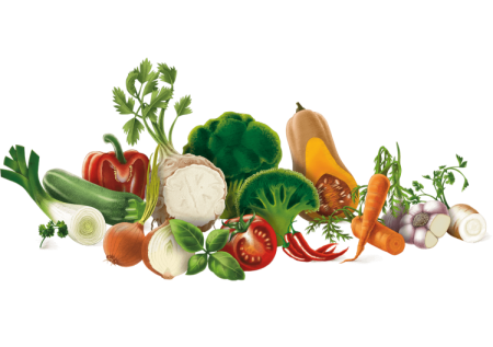 Овощи и продукты векторный