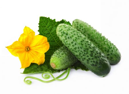 Огурец Туми f1