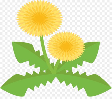 Одуванчики для печати