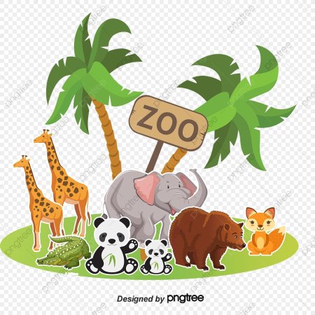 Zoo мультяшный
