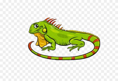 Iguana рисунок