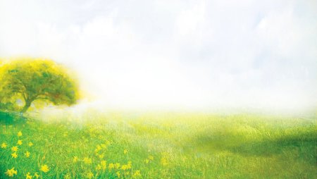 Природа вектор
