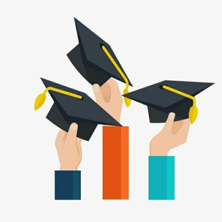 Студенты Векторная Графика