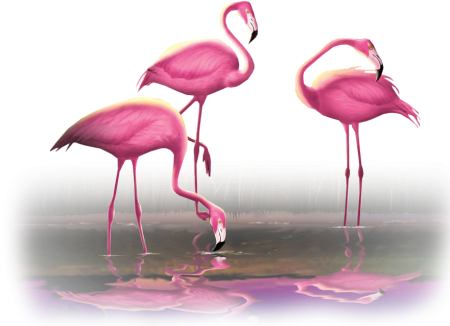 Фламинго мультяшный