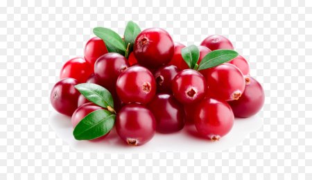 Клюква на белом фоне