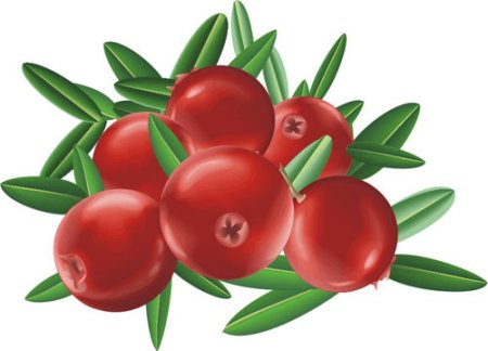 Клюква мультяшная