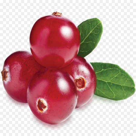 Cowberry брусника