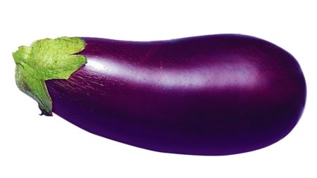 Aubergine Brinjal Eggplant