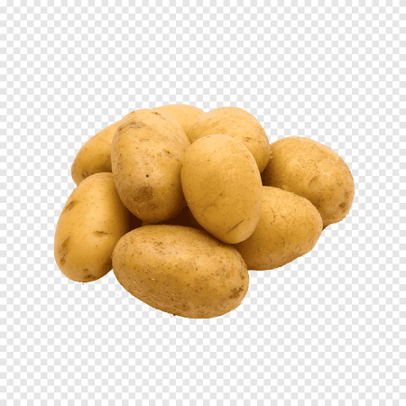 Картофель клипарт (49 фото)