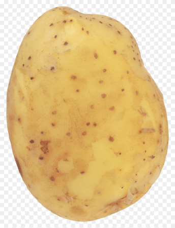 Картошка на белом фоне