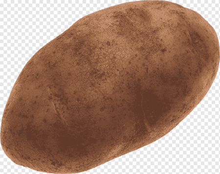 Картофель 'Russet Burbank'