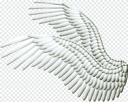 Крылья ангела сбоку PNG