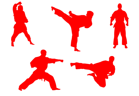 Каратист силуэт