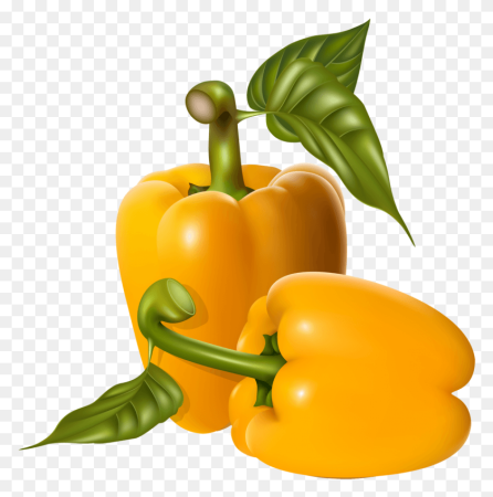 Овощи клипарт