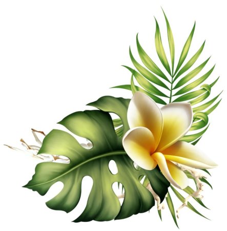 Тропические цветы