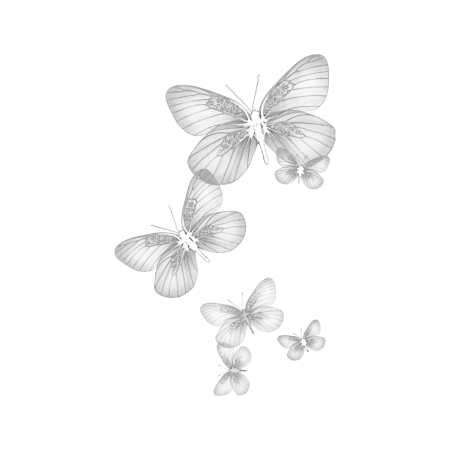 Белые бабочки на прозрачном фоне