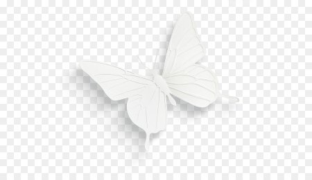 Белые бабочки на прозрачном фоне