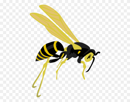 Wasp Оса