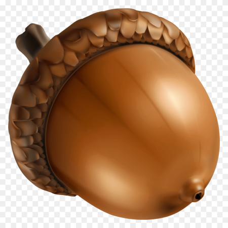 Желудь для детей