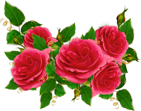 Клипарт розы красные (52 фото)