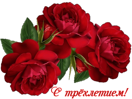 Цветы на прозрачном фоне