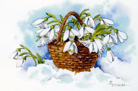 Художник-иллюстратор Анна Петунова