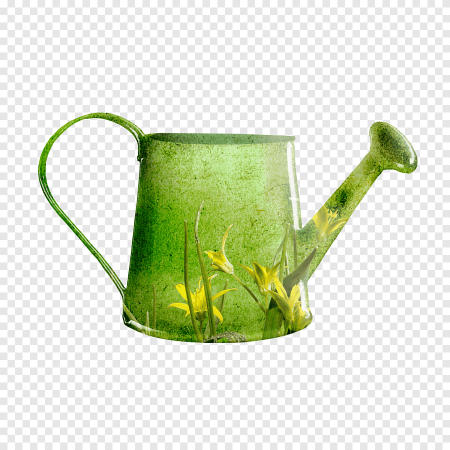 Лейка зеленая