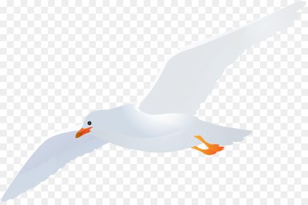 Чайка для детей