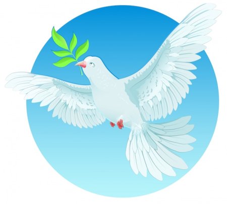 Белый голубь символ